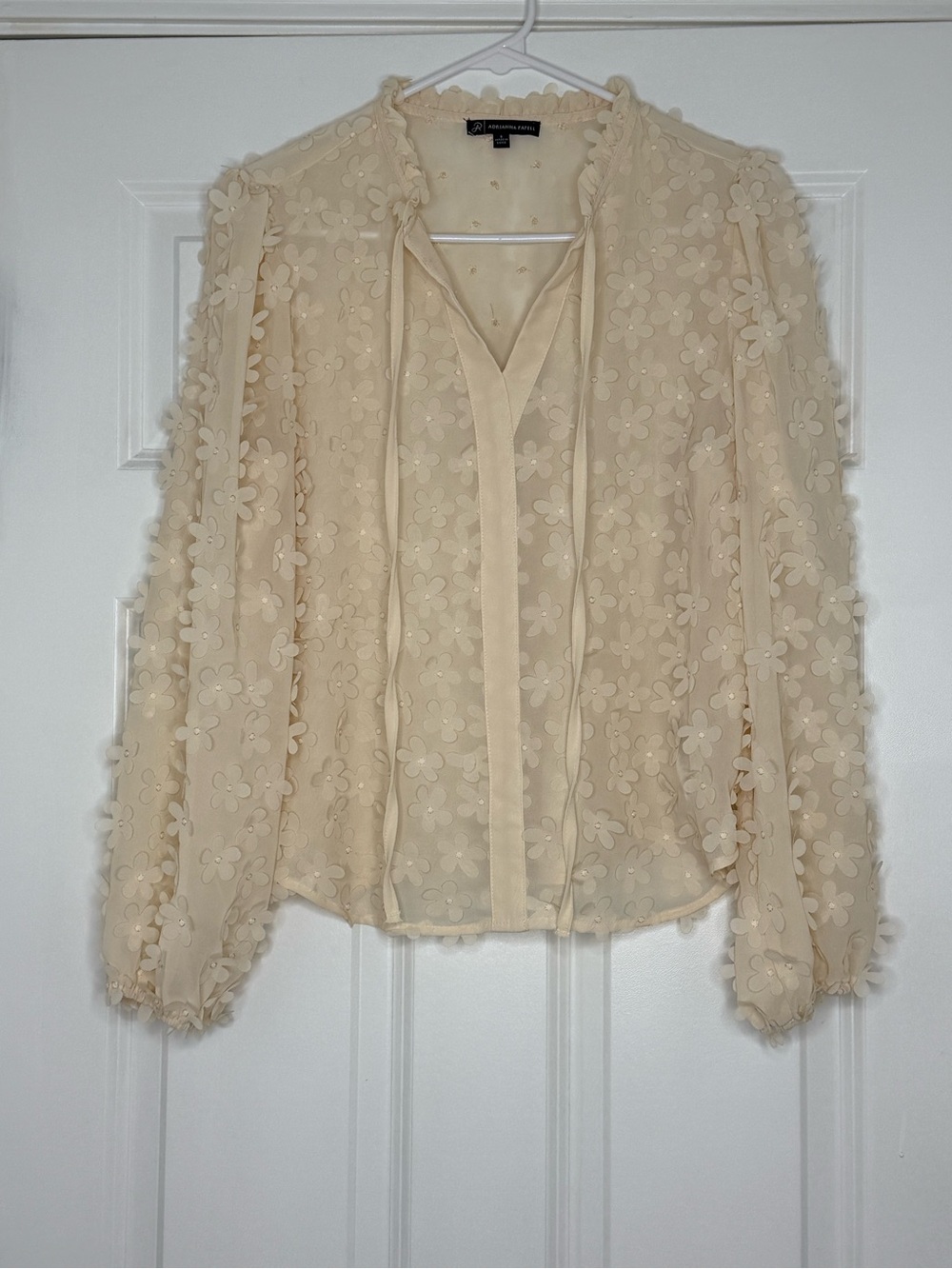Cream Floral Appliqué Sheer Blouse - Picture 2 of 6